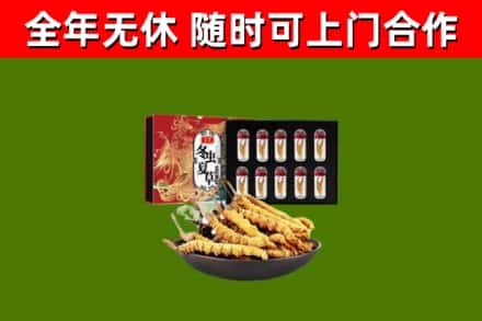 博湖县回收冬虫夏草价格